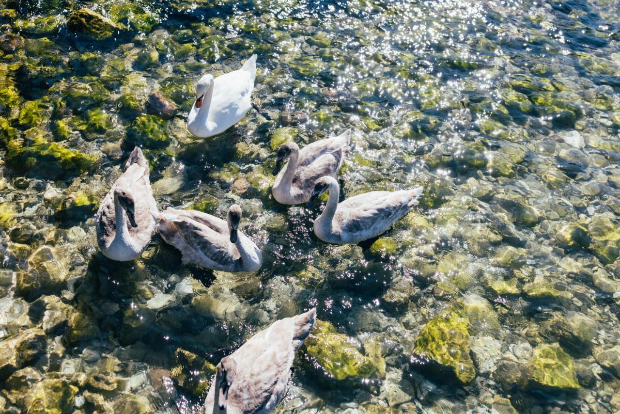 Hotel Orione - Lake Front Hotel Brenzone sul Garda Εξωτερικό φωτογραφία